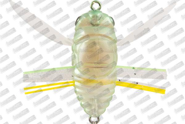 DUO Realis Shinmushi #CCC3212