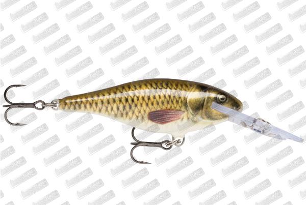 RAPALA Shad Rap SR 09 #CARP