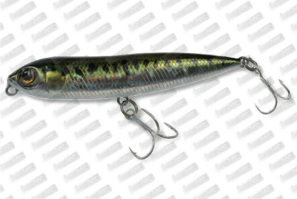 OWNER Zip'N Ziggi #Baby Bass