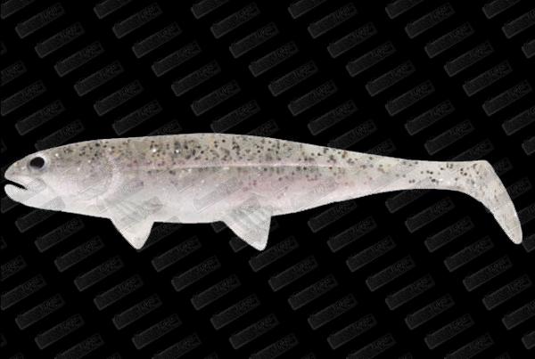 JACKSON CEBBRA The Fish 12,5cm #08 Salt'N pepper