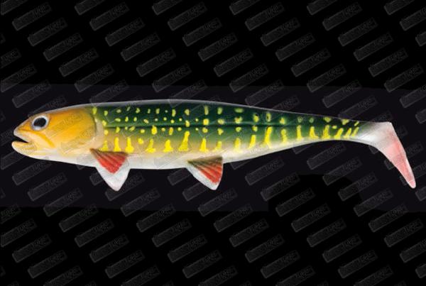 JACKSON CEBBRA The Fish 15cm #03 Pike