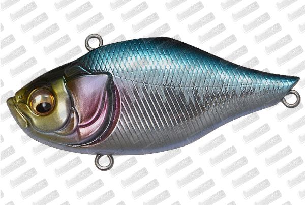 MEGABASS Fermata #M Cobalt Back