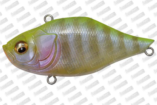 MEGABASS Fermata #Stripe CB