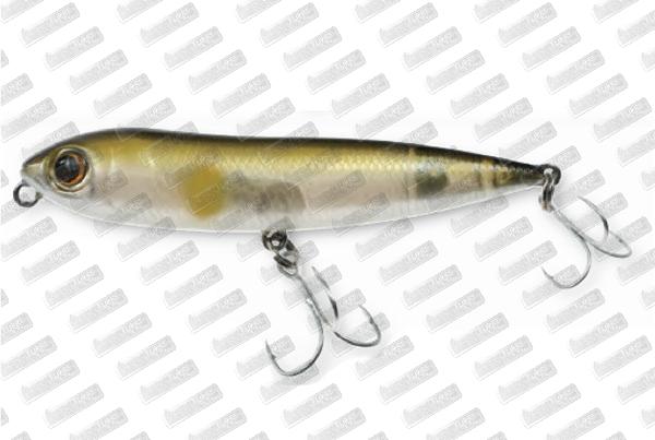 OWNER Zip'N Ziggi #Ayu