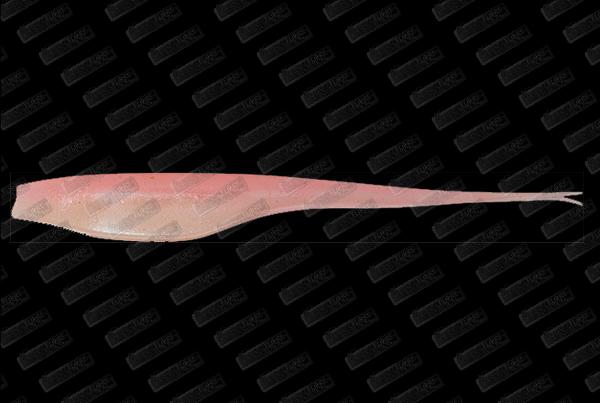 MEGABASS Sling Shad 5'' #03 Pink Back Glow