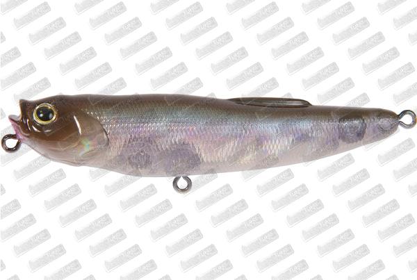 ZENITH Carol 85 #500G