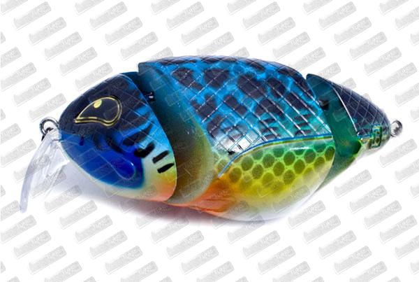 ROZEMEIJER Loki #65164 SBG