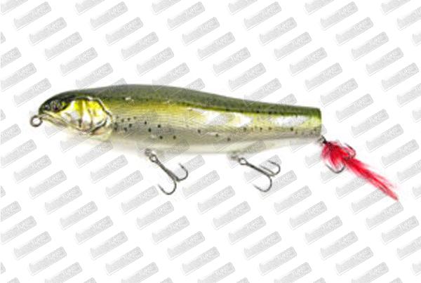 VAGABOND Surf Hustler #Green Shad
