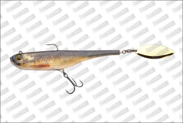 BIWAA Divinatör Medium #50