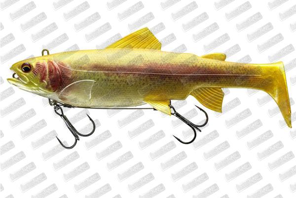 DAÏWA Prorex Live Trout Swimbait 250 #Live Gold Trout