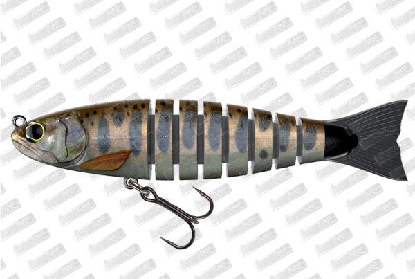 BIWAA S'tröut 3.5 #20