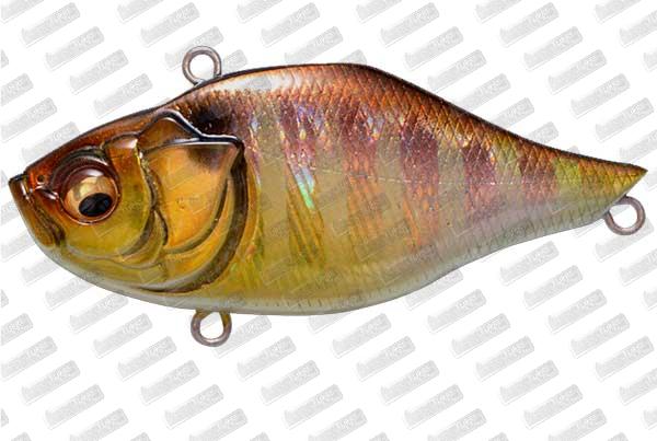 MEGABASS Fermata #GG Gill