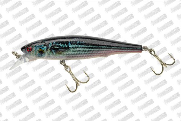 SAKURA Azu Minnow #RL13