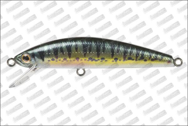 JACKSON Trout Tune HW 5,5 cm #Vairon