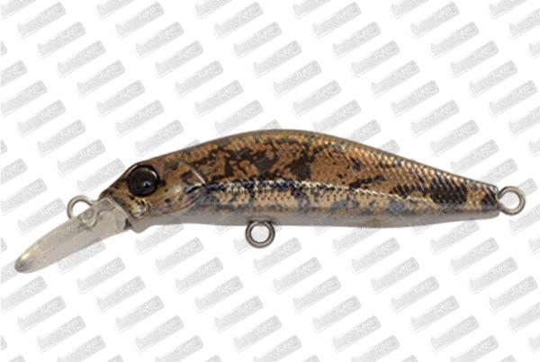 JACKSON Kanade 40 #BKG