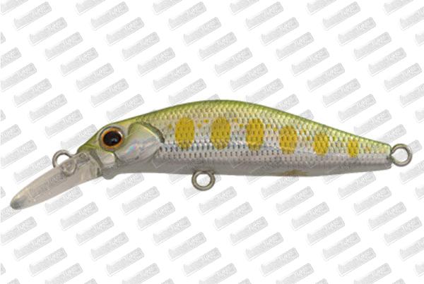 JACKSON Kanade 40 #LAY