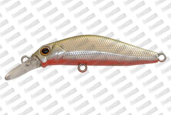 JACKSON Kanade 50 #AUG