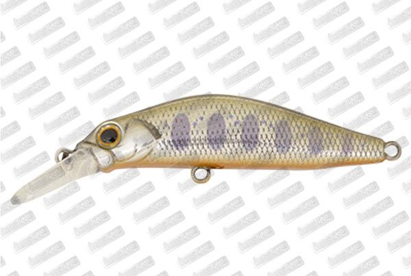 JACKSON Kanade 50 #FC5