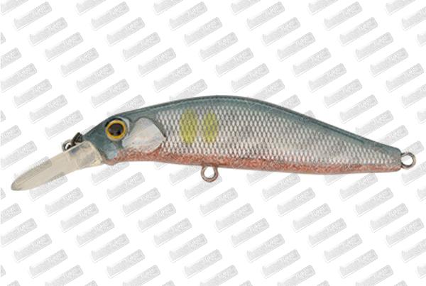 JACKSON Kanade 60 #SRA