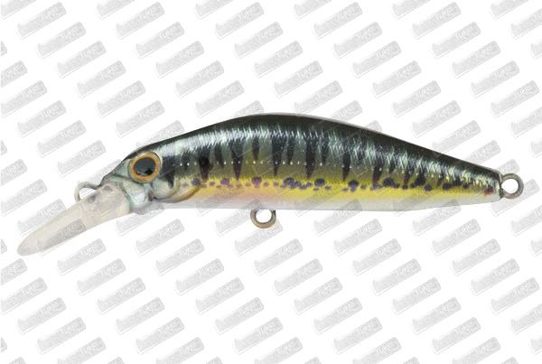 JACKSON Kanade 60 #Vairon