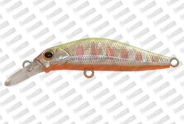 JACKSON Kanade 60 #WCY