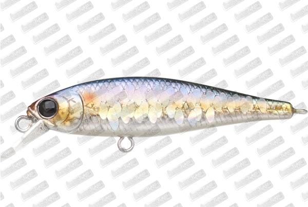 LUCKY CRAFT Pointer 48 SP #MS American Shad