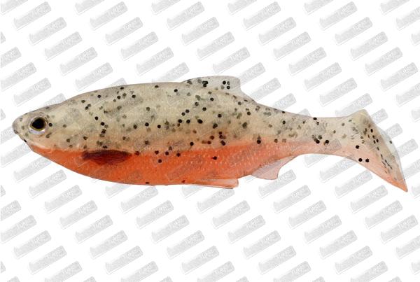 WESTIN Ricky The Roach SL #Confused Tomato