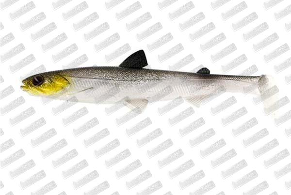 WESTIN HypoTeez ST 25cm #Headlight