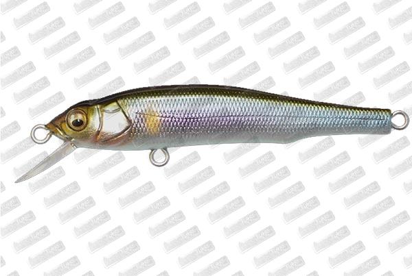 MEGABASS Great Hunting 70 Flat Side #Takumi Setsuki Ayu