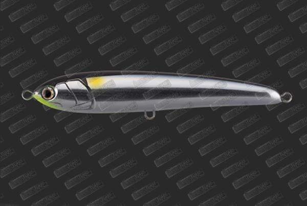 MARIA Rapido 160 F #B06