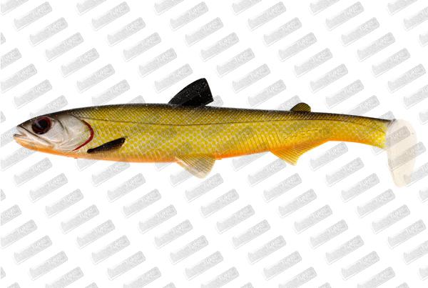 WESTIN HypoTeez ST 15cm #Official Roach