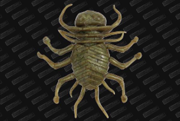 DUO Ninmushi 38 #F611