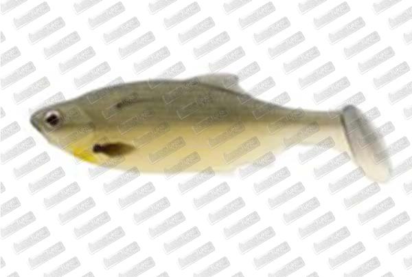 WESTIN Ricky The Roach SL #Real Deal