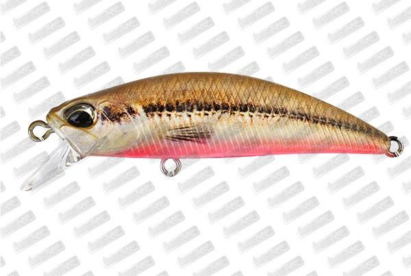 DUO Spearhead Ryuki 50S #ACC4824 