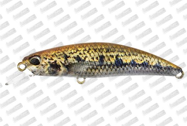 DUO Spearhead Ryuki 60S #ACCZ114 