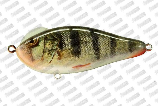 VIVA Mazzy Slide Bomber #Live Perch