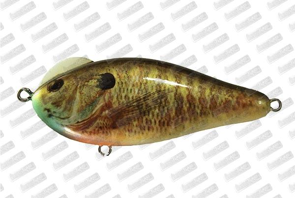 VIVA Mazzy Slide Bomber #Live Gill