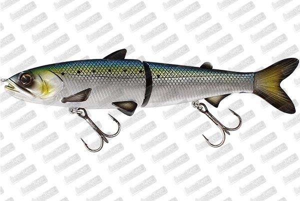 WESTIN Hypoteez HL/GB #American Shad