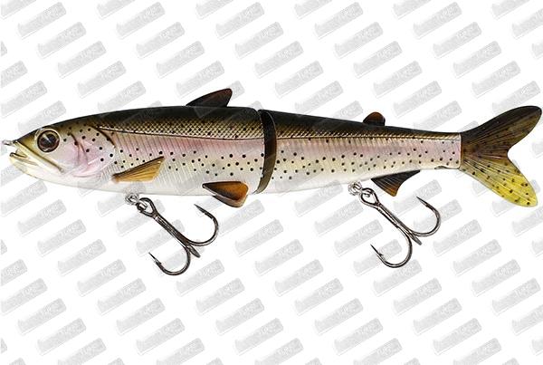 WESTIN Hypoteez HL/GB #Rainbow Trout