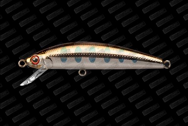 JACKSON Trout Tune 55 #AY II