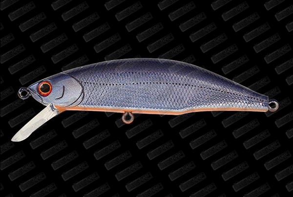 JACKSON Meteora Ryusei 80 #LSB