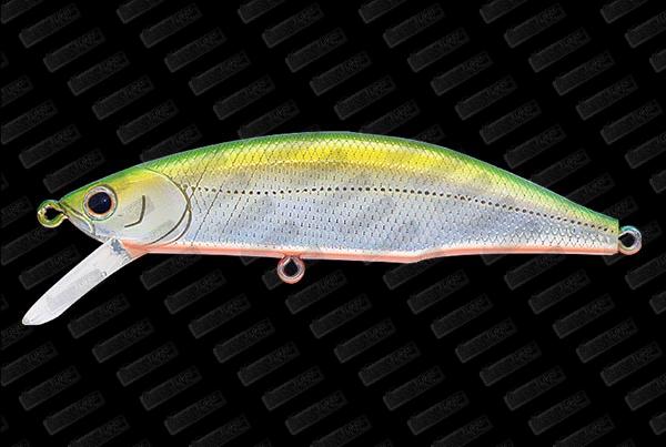 JACKSON Meteora Ryusei 80 #LGG