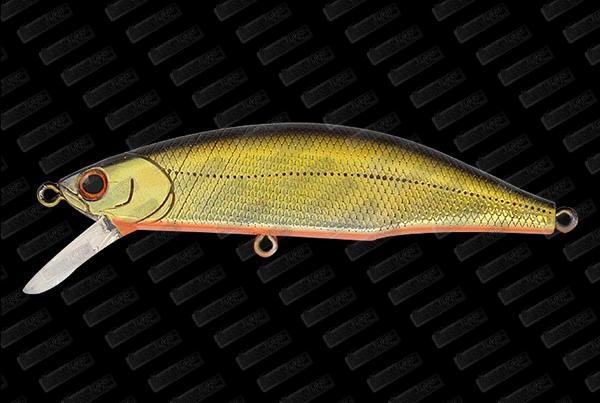 JACKSON Meteora Ryusei 80 #LBG