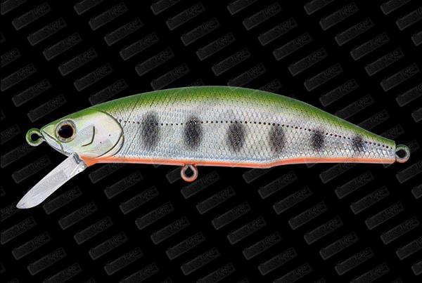 JACKSON Meteora Ryusei 80 #LYM