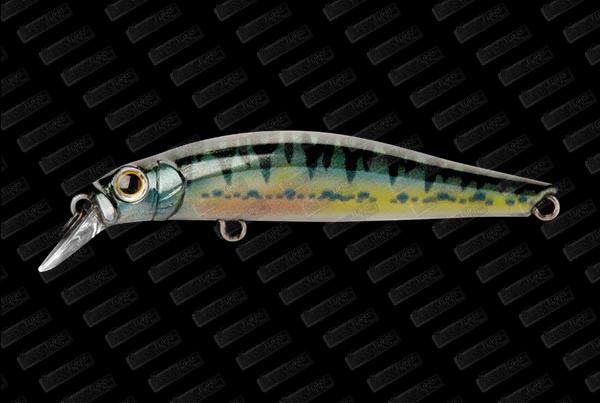 JACKSON Artist FR55 #Vairon