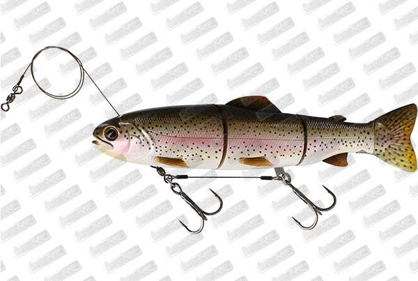 WESTIN Tommy The Trout HL Line #Rainbow Trout