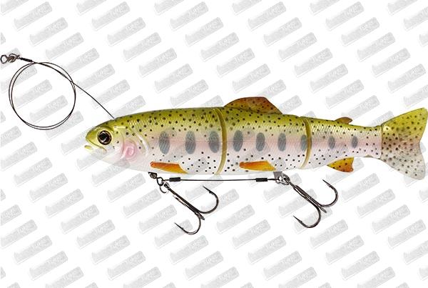 WESTIN Tommy The Trout HL Line #Smolt