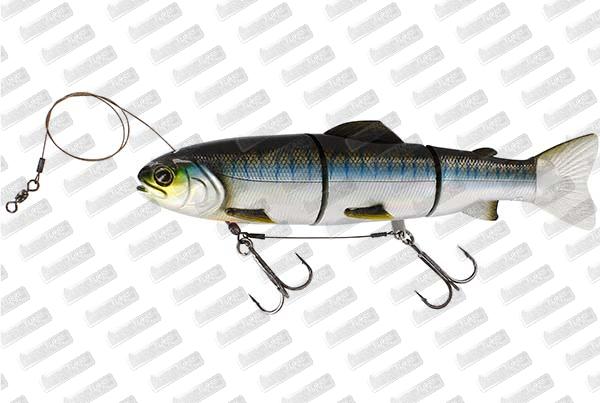 WESTIN Tommy The Trout HL Line #Blueback Herring