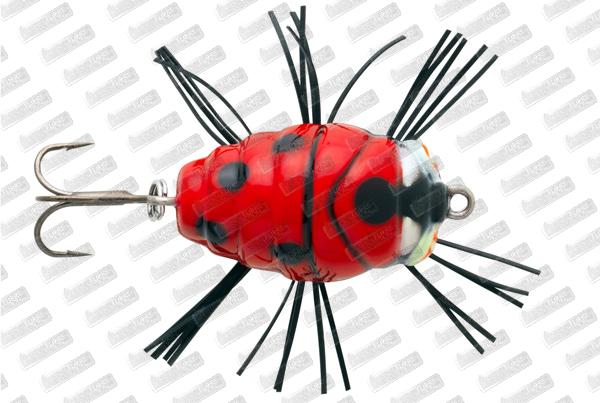 SAKURA Notobug 22mm #06