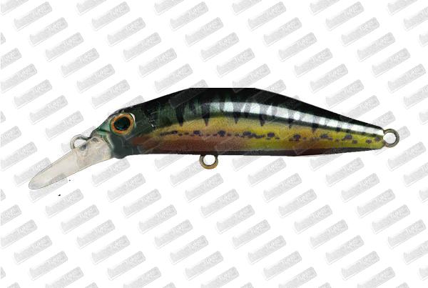 JACKSON Kanade 50 #Vairon Nuptial